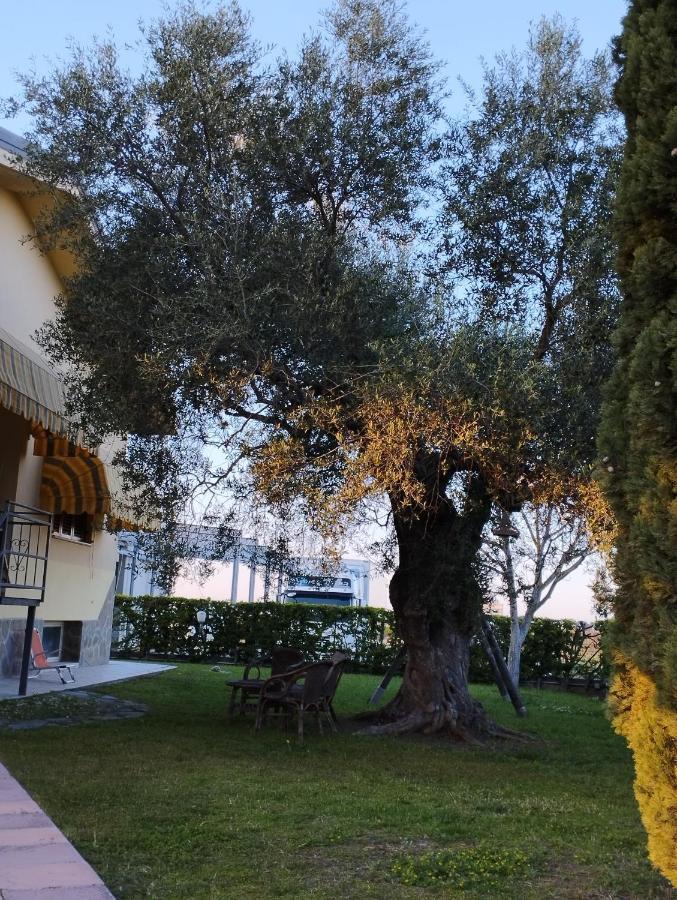 Magnolia House Apartment Scanzano Jonico Екстериор снимка