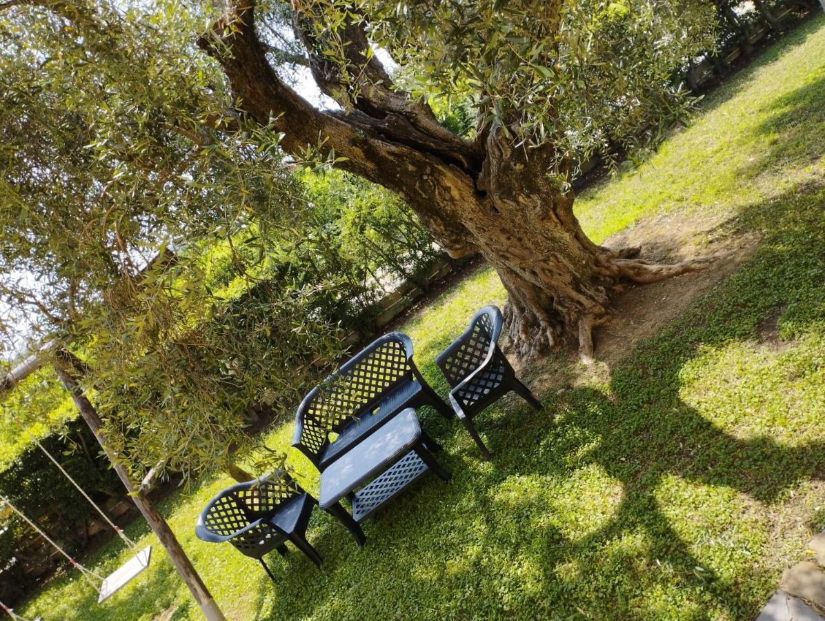 Magnolia House Apartment Scanzano Jonico Екстериор снимка